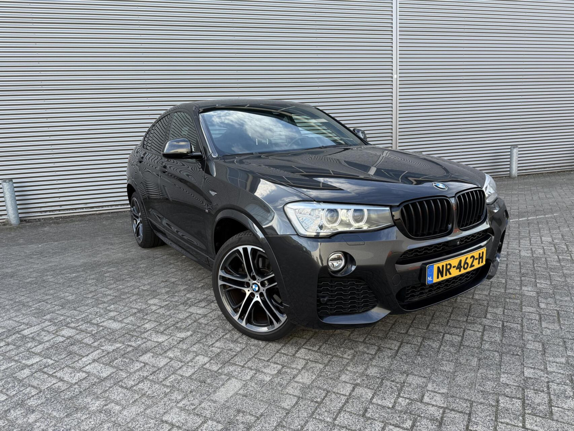 48513819